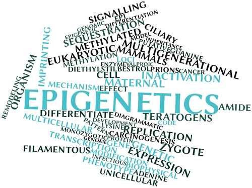 Word cloud for Epigenetics