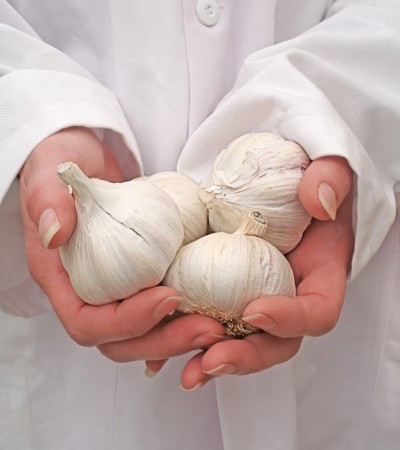 Garlic bulbs in hands