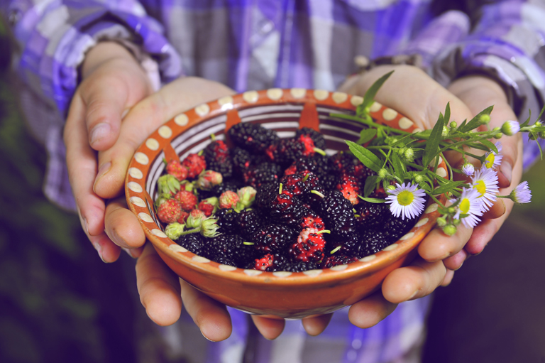 plate with fresh berries in the hands of women