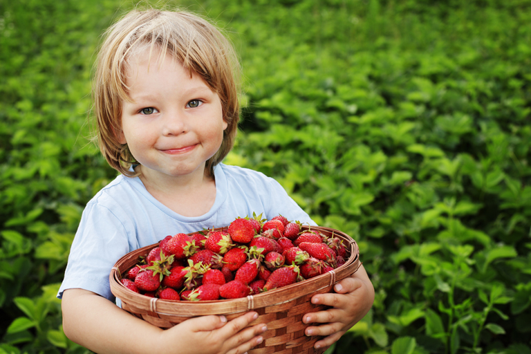 cheerful boy with basket of strawberry