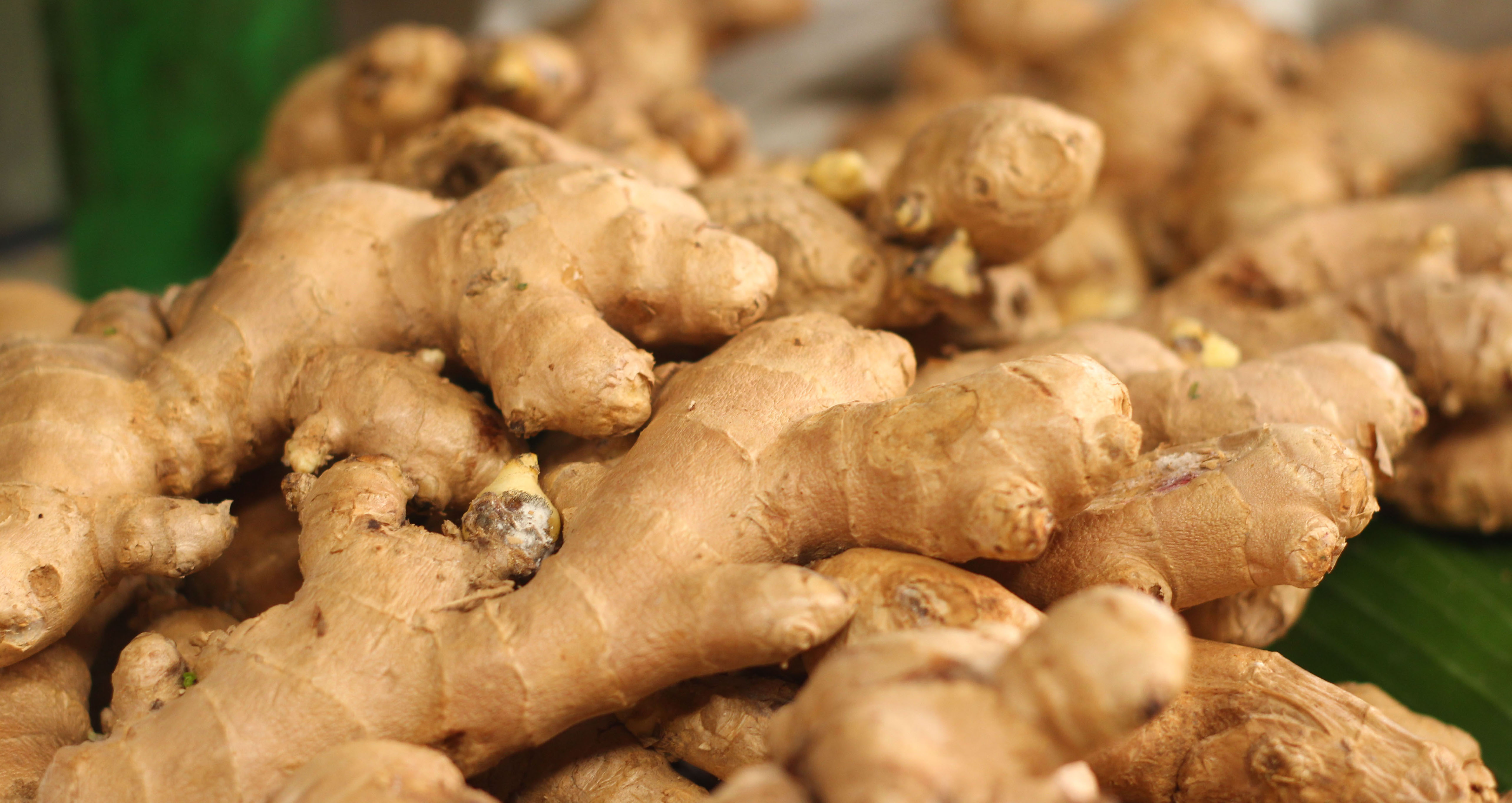 Ginger root at the market